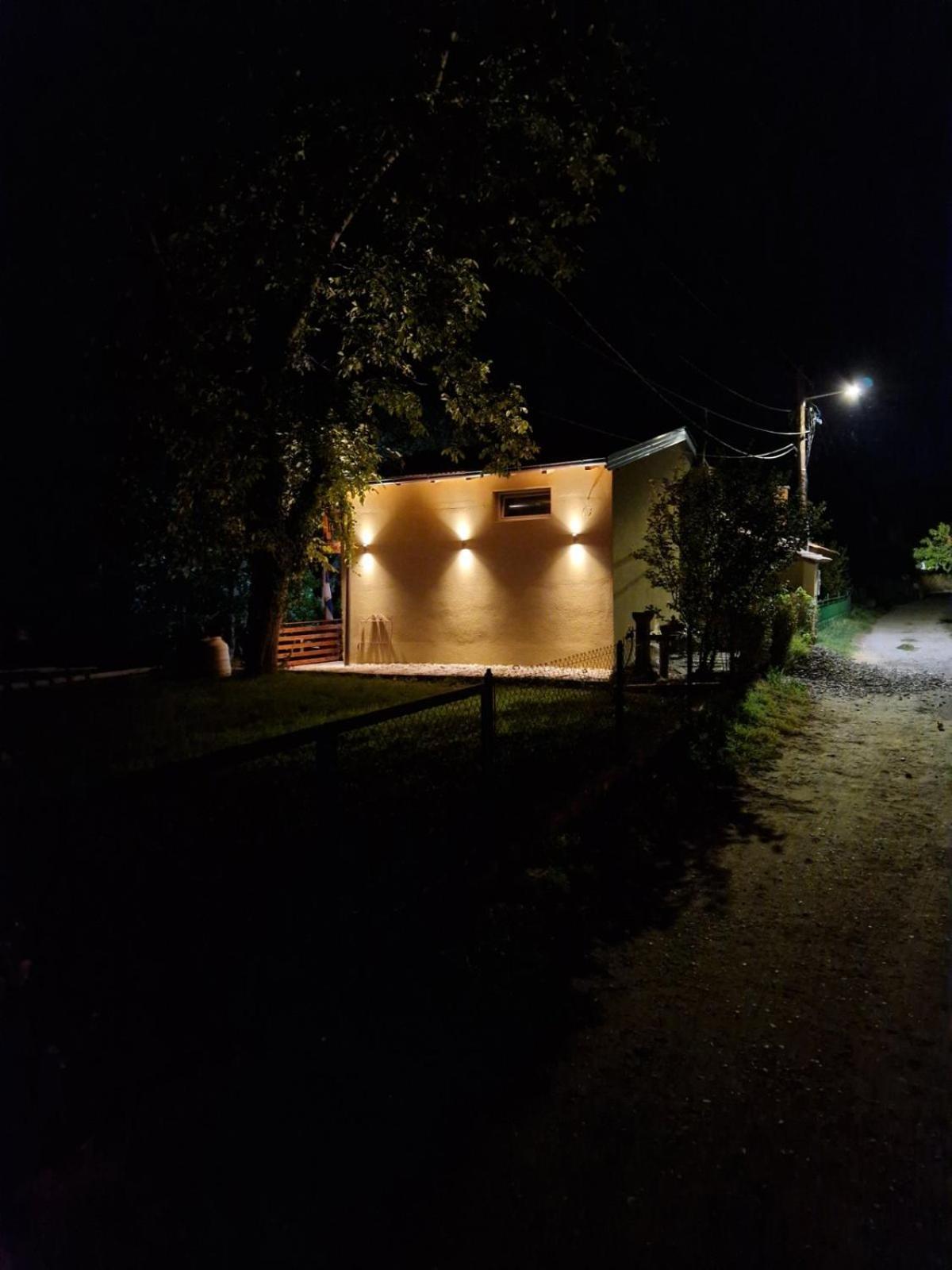 Bear Secret House *